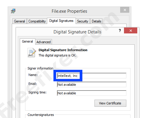 Screenshot of the Intellext, Inc certificate